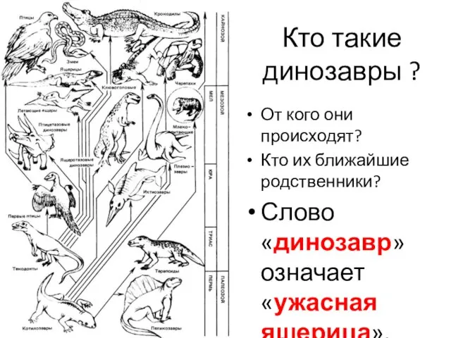 Кто такие динозавры ? От кого они происходят? Кто их