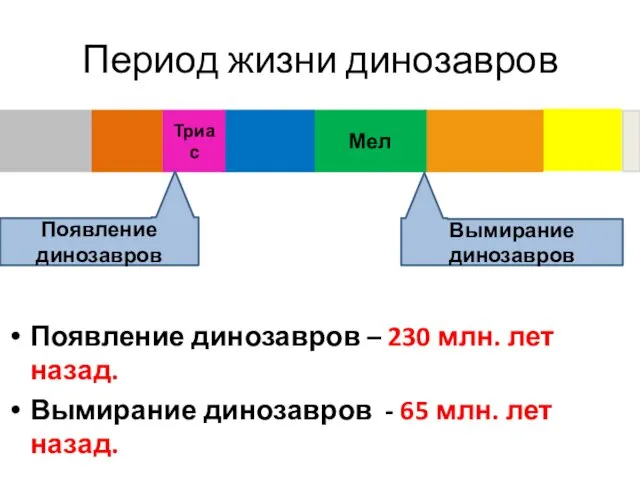 Период жизни динозавров Появление динозавров – 230 млн. лет назад.