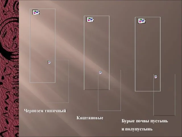 Чернозем типичный Каштановые Бурые почвы пустынь и полупустынь