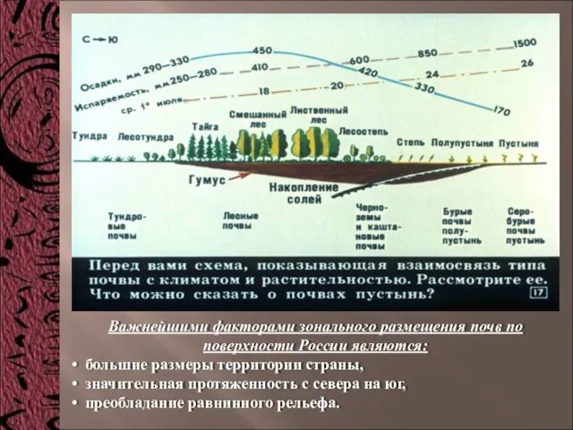 Важнейшими факторами зонального размещения почв по поверхности России являются: большие