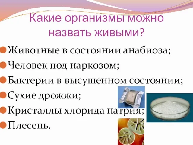 Какие организмы можно назвать живыми? Животные в состоянии анабиоза; Человек