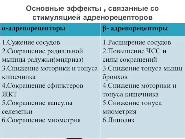 Основные эффекты , связанные со стимуляцией адренорецепторов