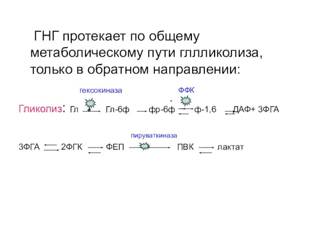 ГНГ протекает по общему метаболическому пути гллликолиза, только в обратном