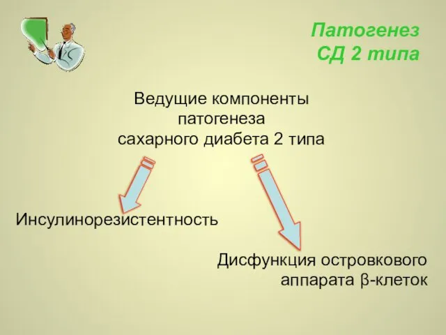 Патогенез СД 2 типа Ведущие компоненты патогенеза сахарного диабета 2 типа Инсулинорезистентность Дисфункция островкового аппарата β-клеток