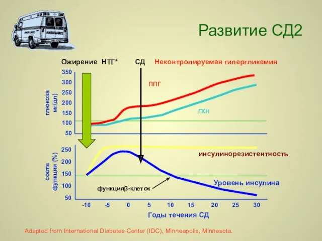 Adapted from International Diabetes Center (IDC), Minneapolis, Minnesota. Ожирение НТГ* СД Неконтролируемая гипергликемия