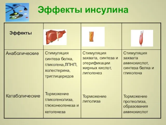 Эффекты инсулина