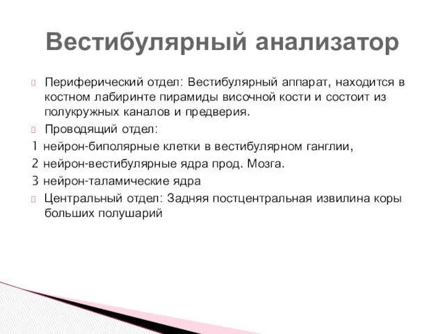 Периферический отдел: Вестибулярный аппарат, находится в костном лабиринте пирамиды височной