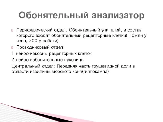 Периферический отдел: Обонятельный эпителий, в состав которого входят обонятельный рецепторные