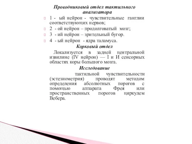 Проводниковый отдел тактильного анализатора 1 - ый нейрон - чувствительные