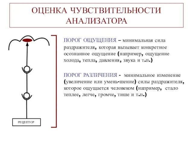 ОЦЕНКА ЧУВСТВИТЕЛЬНОСТИ АНАЛИЗАТОРА ПОРОГ ОЩУЩЕНИЯ – минимальная сила раздражителя, которая