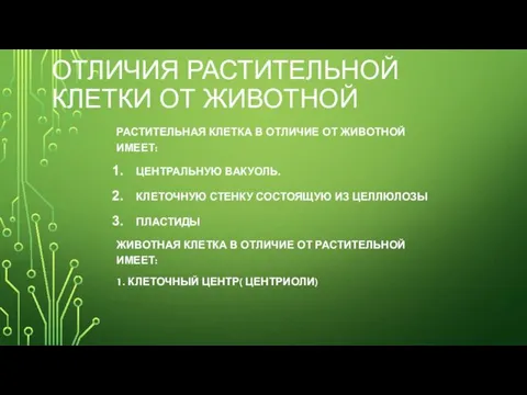 ОТЛИЧИЯ РАСТИТЕЛЬНОЙ КЛЕТКИ ОТ ЖИВОТНОЙ РАСТИТЕЛЬНАЯ КЛЕТКА В ОТЛИЧИЕ ОТ