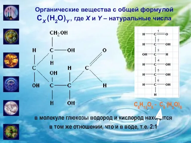 Органические вещества с общей формулой CX (H2O)Y , где X