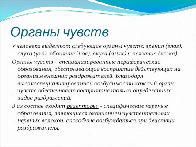 Органы чувств У человека выделяют следующие органы чувств: зрения (глаз), слуха (ухо), обоняние