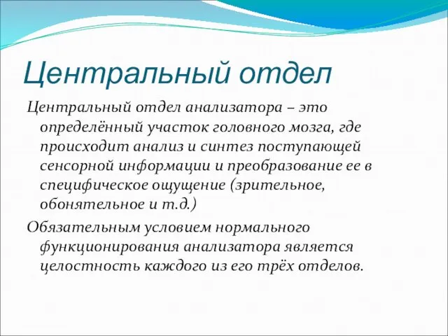 Центральный отдел Центральный отдел анализатора – это определённый участок головного мозга, где происходит