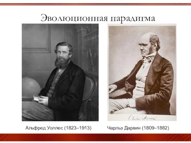 Эволюционная парадигма Альфред Уоллес (1823–1913) Чарльз Дарвин (1809–1882)