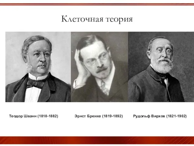 Клеточная теория Теодор Шванн (1810-1882) Эрнст Брюкке (1819-1892) Рудольф Вирхов (1821-1902)