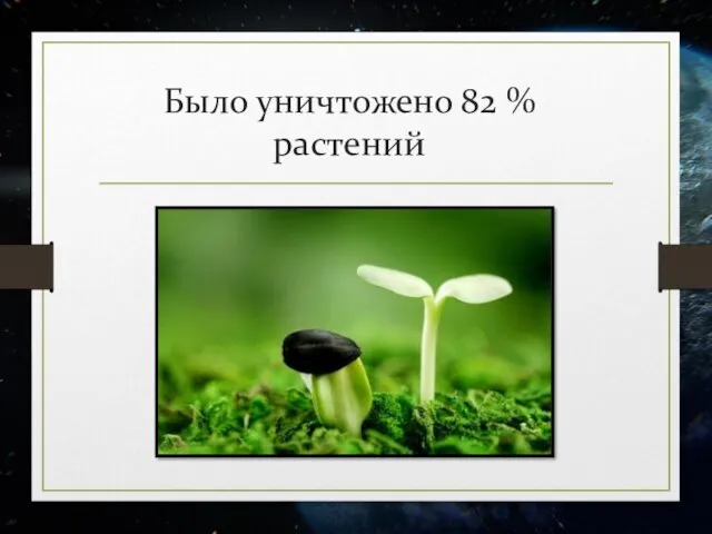 Было уничтожено 82 % растений