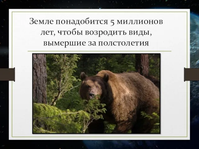 Земле понадобится 5 миллионов лет, чтобы возродить виды, вымершие за полстолетия