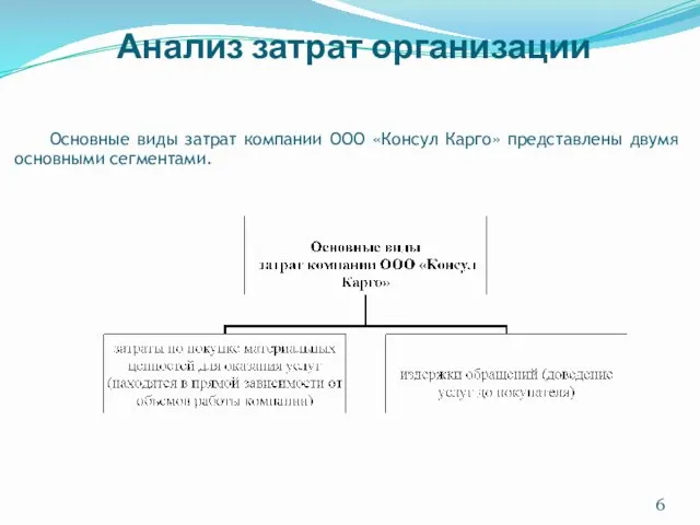 Анализ затрат организации Основные виды затрат компании ООО «Консул Карго» представлены двумя основными сегментами.