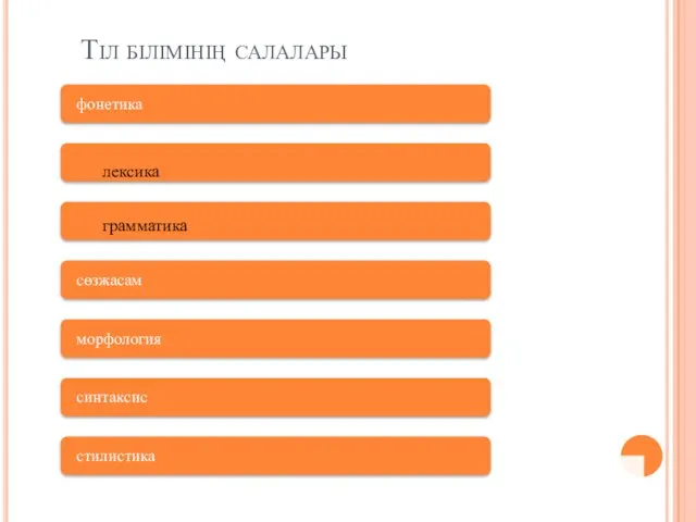 Тіл білімінің салалары лексика грамматика