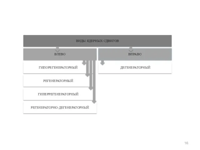 ВИДЫ ЯДЕРНЫХ СДВИГОВ ВЛЕВО ВПРАВО РЕГЕНЕРАТОРНЫЙ ГИПОРЕГЕНЕРАТОРНЫЙ ГИПЕРРЕГЕНЕРАТОРНЫЙ РЕГЕНЕРАТОРНО-ДЕГЕНЕРАТОРНЫЙ ДЕГЕНЕРАТОРНЫЙ