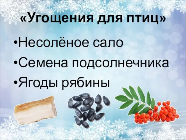 Несолёное сало Семена подсолнечника Ягоды рябины «Угощения для птиц»