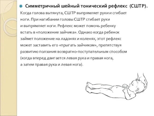 Симметричный шейный тонический рефлекс (СШТР). Когда голова вытянута, СШТР выпрямляет