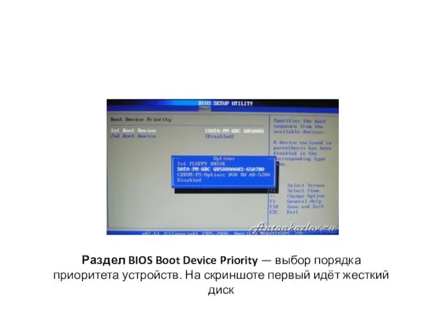 Раздел BIOS Boot Device Priority — выбор порядка приоритета устройств. На скриншоте первый идёт жесткий диск