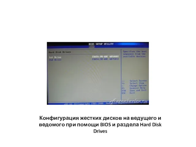 Конфигурация жестких дисков на ведущего и ведомого при помощи BIOS и раздела Hard Disk Drives