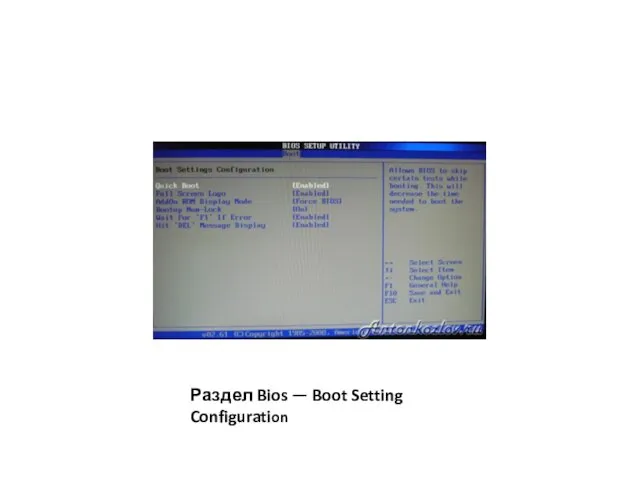 Раздел Bios — Boot Setting Configuration