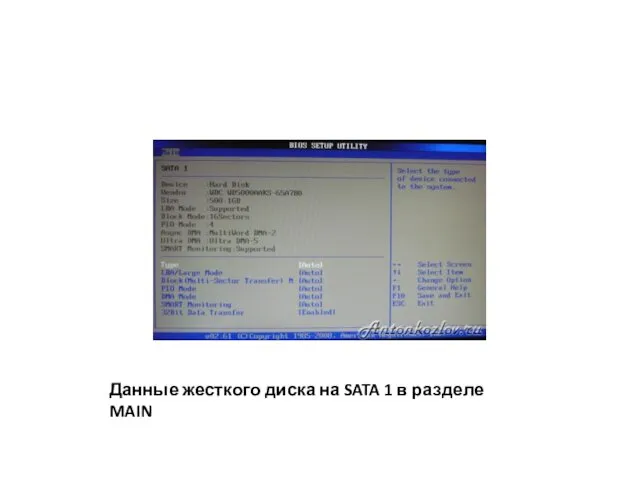 Данные жесткого диска на SATA 1 в разделе MAIN