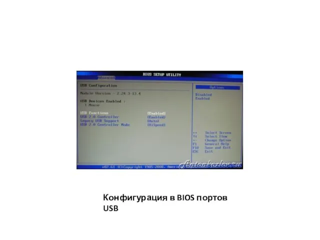 Конфигурация в BIOS портов USB