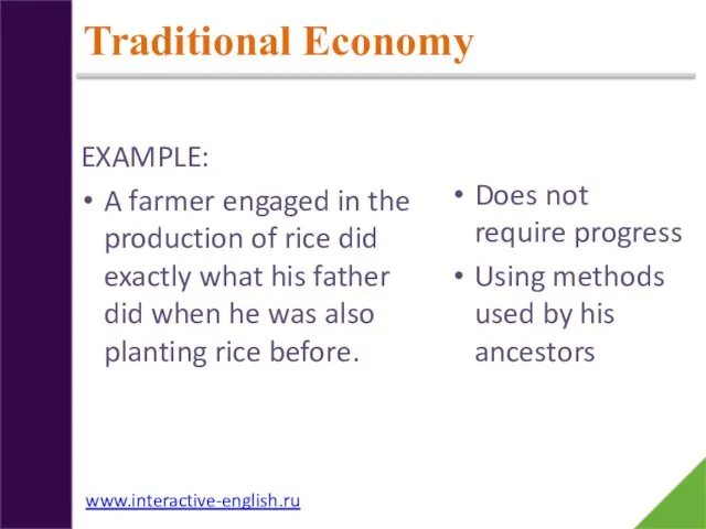 Traditional Economy EXAMPLE: A farmer engaged in the production of