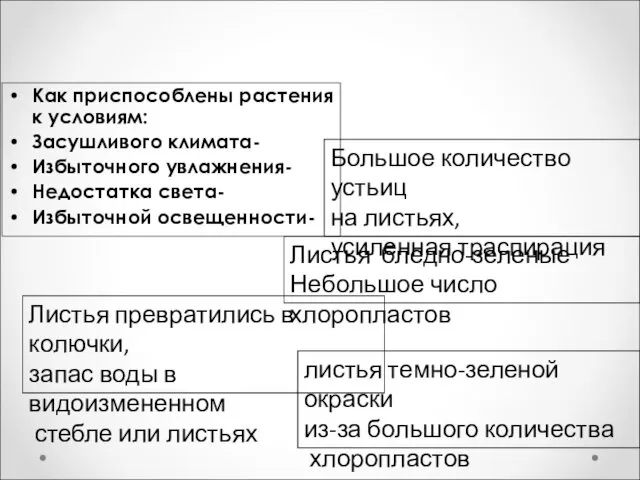 Как приспособлены растения к условиям: Засушливого климата- Избыточного увлажнения- Недостатка