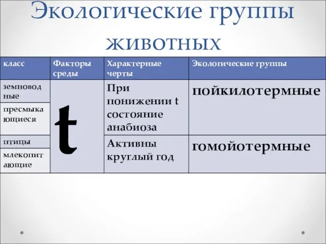 Экологические группы животных