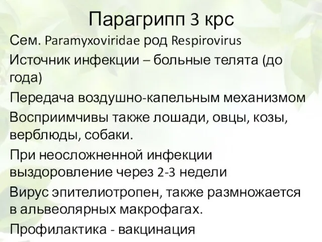 Парагрипп 3 крс Сем. Paramyxoviridae род Respirovirus Источник инфекции –