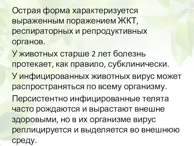 Острая форма характеризуется выраженным поражением ЖКТ, респираторных и репродуктивных органов.