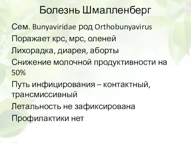 Болезнь Шмалленберг Сем. Bunyaviridae род Orthobunyavirus Поражает крс, мрс, оленей