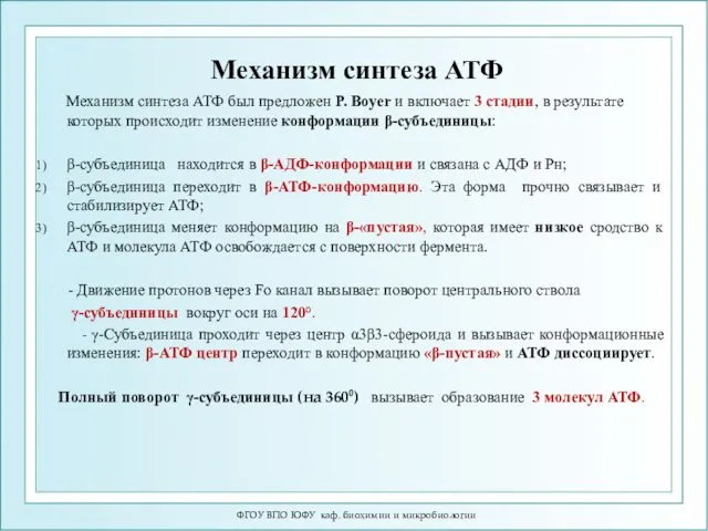 Механизм синтеза АТФ Механизм синтеза АТФ был предложен P. Boyer и включает 3