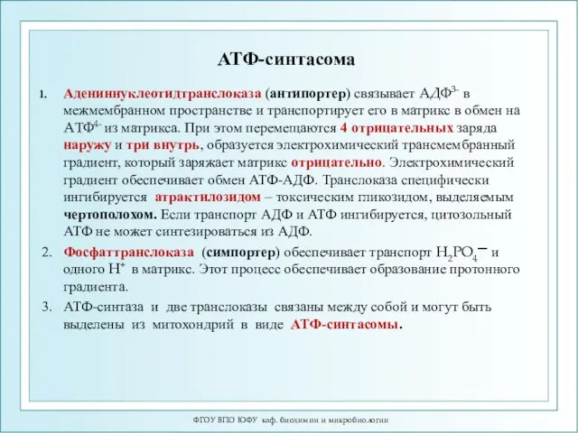 АТФ-синтасома Адениннуклеотидтранслоказа (антипортер) связывает АДФ3- в межмембранном пространстве и транспортирует