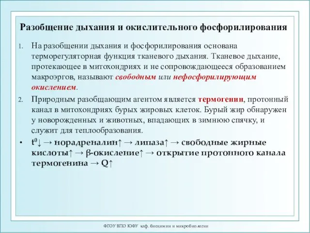 Разобщение дыхания и окислительного фосфорилирования На разобщении дыхания и фосфорилирования основана терморегуляторная функция