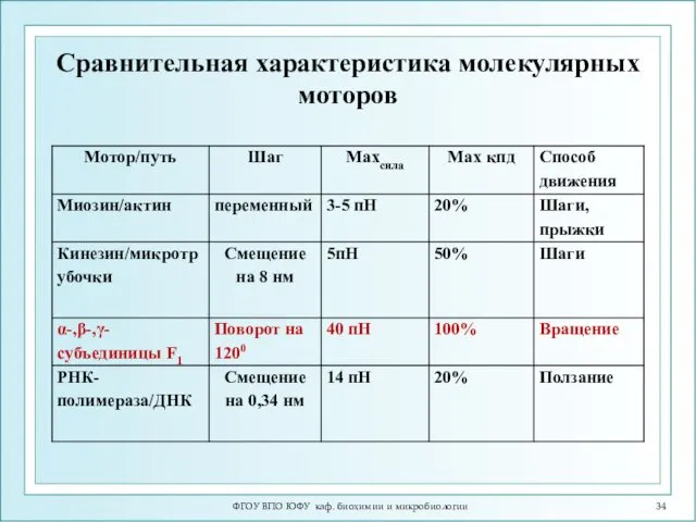 ФГОУ ВПО ЮФУ каф. биохимии и микробиологии Сравнительная характеристика молекулярных моторов