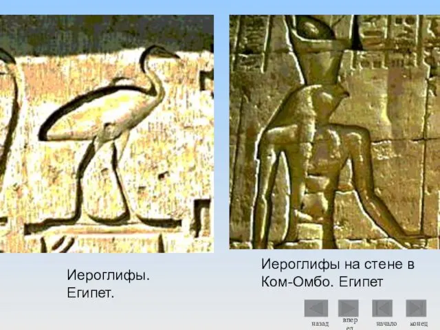 Иероглифы. Египет. Иероглифы на стене в Ком-Омбо. Египет