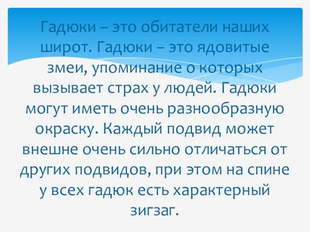 Гадюки – это обитатели наших широт. Гадюки – это ядовитые