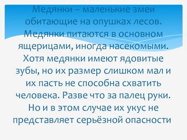 Медянки – маленькие змеи обитающие на опушках лесов. Медянки питаются в основном ящерицами,