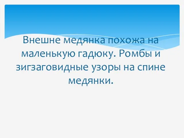 Внешне медянка похожа на маленькую гадюку. Ромбы и зигзаговидные узоры на спине медянки.