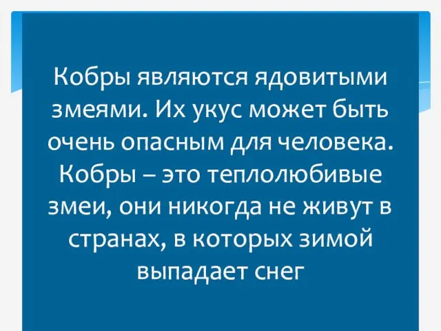 Кобры являются ядовитыми змеями. Их укус может быть очень опасным