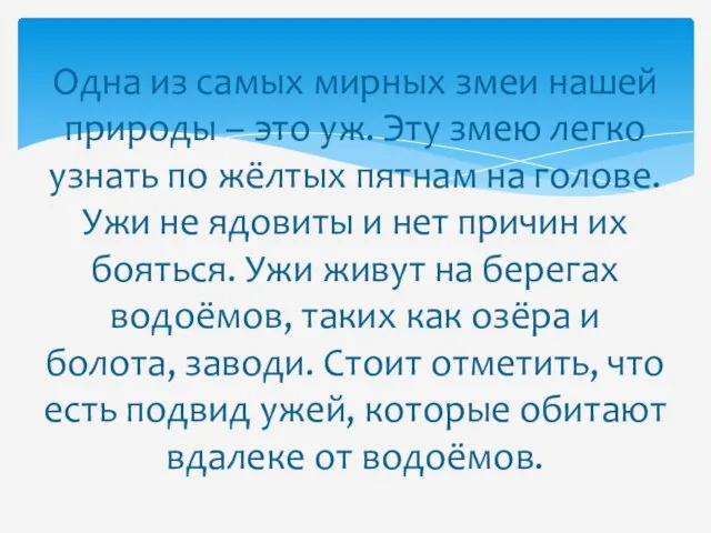 Одна из самых мирных змеи нашей природы – это уж.