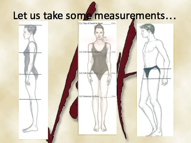 Let us take some measurements…