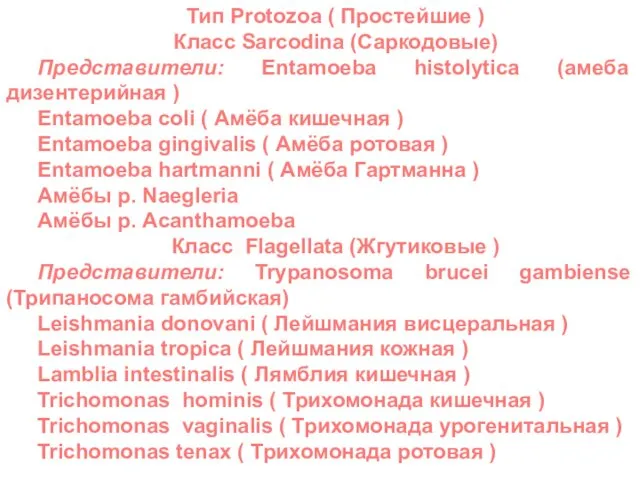 Тип Protozoa ( Простейшие ) Класс Sarсodina (Саркодовые) Представители: Entamoeba